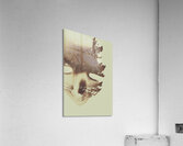 Manifest destiny Acrylic Print