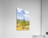 Vibrant valleys Acrylic Print