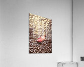 The fall and the light merger Acrylic Print