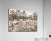 Way beyond outback Acrylic Print