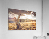 Cranbrook sunset Acrylic Print