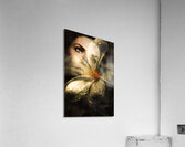 Organic makeup and skincare girl Acrylic Print