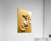 Seahorse art abstract Acrylic Print