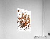 Sweat defeat Acrylic Print