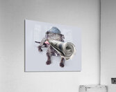 Isolated newspaper dog carrying latest news Acrylic Print