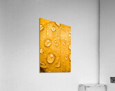 Leafy tropics Acrylic Print