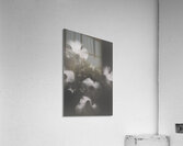 Ornate colourless weathered wild flowers Acrylic Print