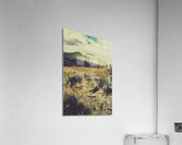 The last light Acrylic Print