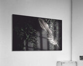 Feather quill lying in green grass. Writers guild  Acrylic Print