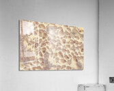 Spiral seaside Acrylic Print