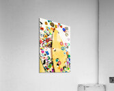 Stuck on boarding Acrylic Print