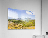 Colour wilds  Acrylic Print