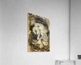 Romances from past times Acrylic Print