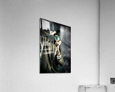 Private eye spy Acrylic Print