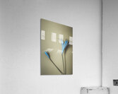 Blue Simplicity Acrylic Print