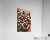 Spider bites Acrylic Print