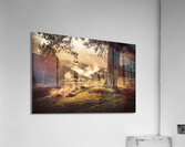 Peaceful vintage landscape of a rural meadow Acrylic Print