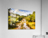 Puddles and outback tracks Acrylic Print