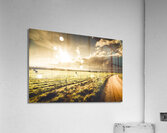 Australian rural dirt road  Acrylic Print