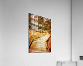 Path to autumn marshlands Acrylic Print