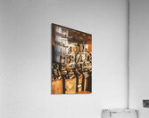 Industrial Age Acrylic Print