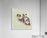 Connection to all that is Acrylic Print