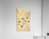 Carnival masquerade jewels Acrylic Print