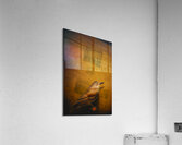 The messenger bird Acrylic Print