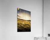 Sunburnt summer plain Acrylic Print