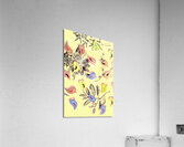 Button bird aviary Acrylic Print