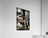 Moonlight Music Acrylic Print