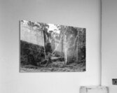 Wildering woods Acrylic Print