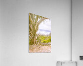 Pure escapism Acrylic Print