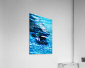 Shark bite Acrylic Print
