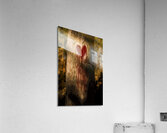 The Lonely Tree Acrylic Print