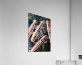 Southern submarines  Acrylic Print