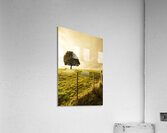 Ridgley hilltop Acrylic Print