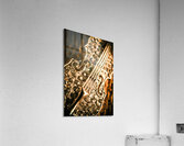 Diamond ensemble Acrylic Print