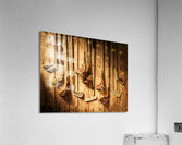 Clubhouse legends Acrylic Print