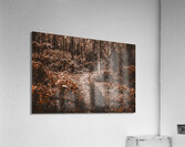 Wayback woods Acrylic Print