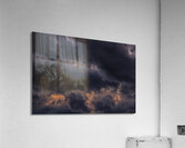 Oncoming hostility Acrylic Print