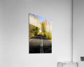 Autumn Drive Acrylic Print