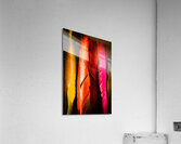 Colourful feather art Acrylic Print