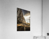 Twisted roads and dead trees Acrylic Print