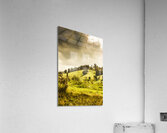 Lush green country farmland Acrylic Print