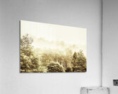 Vintage winter woodland Acrylic Print