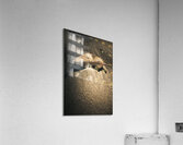 The desert burial Acrylic Print