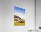 Coastal Tasmanian town Acrylic Print