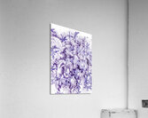 Sands of tranquillity Acrylic Print