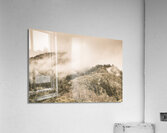 Elevated wonder Acrylic Print